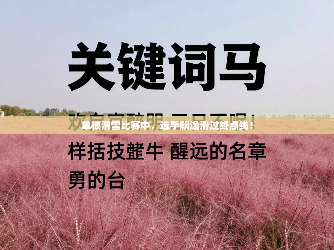 单板滑雪比赛中，选手飘逸滑过终点线！  第1张