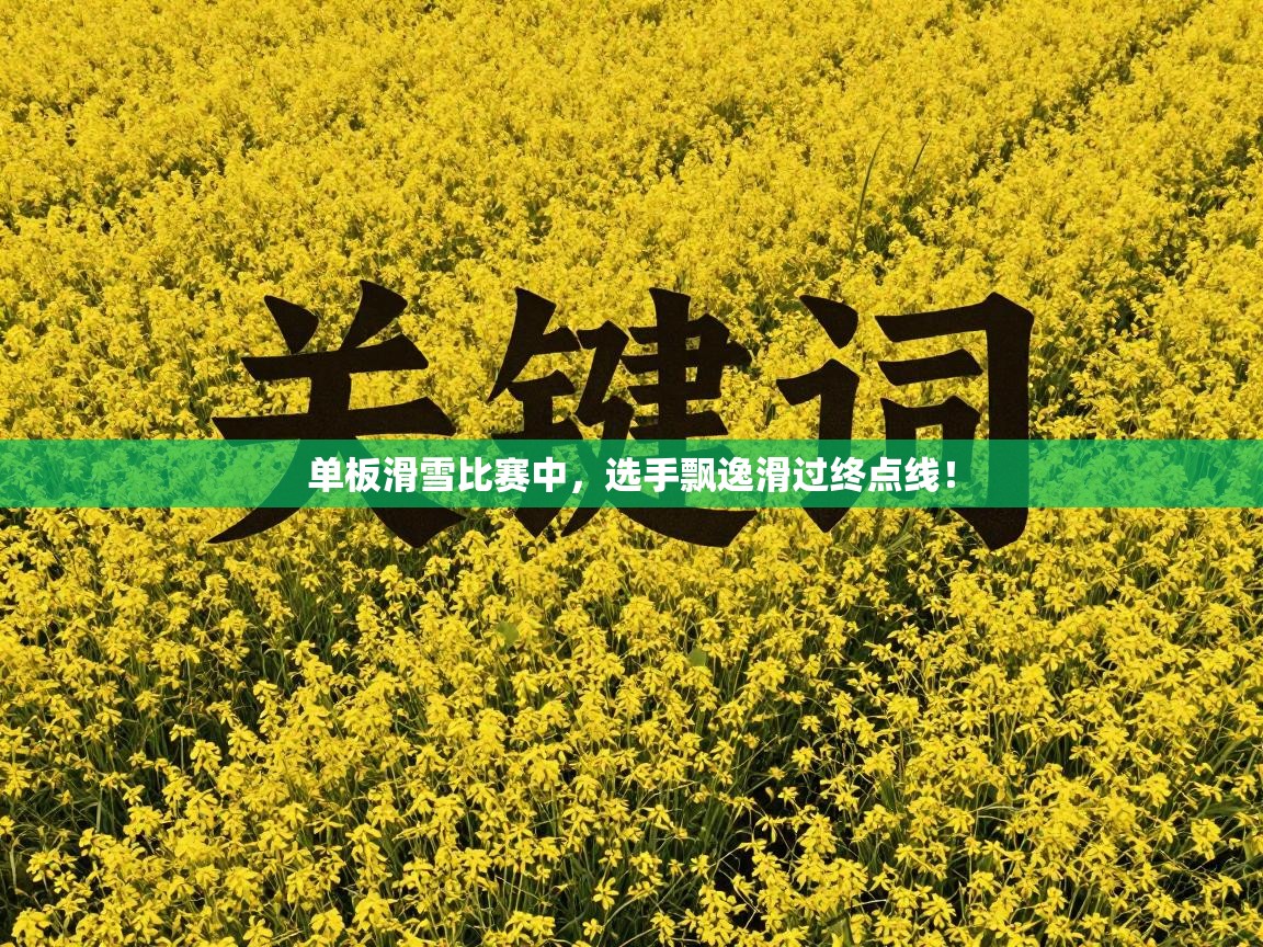 单板滑雪比赛中，选手飘逸滑过终点线！  第2张