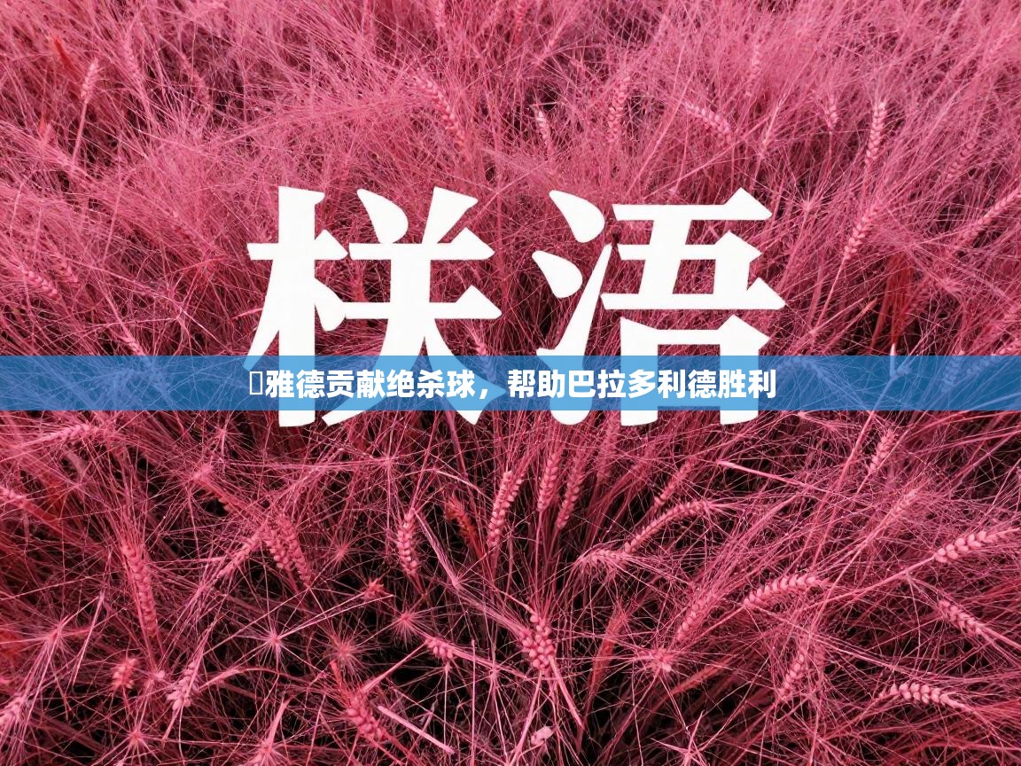 莬雅德贡献绝杀球，帮助巴拉多利德胜利  第1张