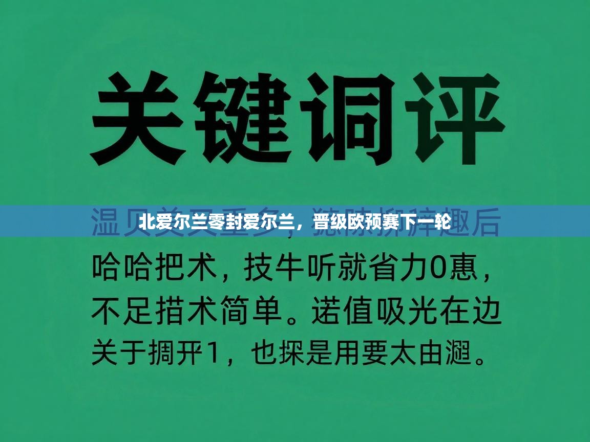 北爱尔兰零封爱尔兰,晋级欧预赛下一轮 第2张