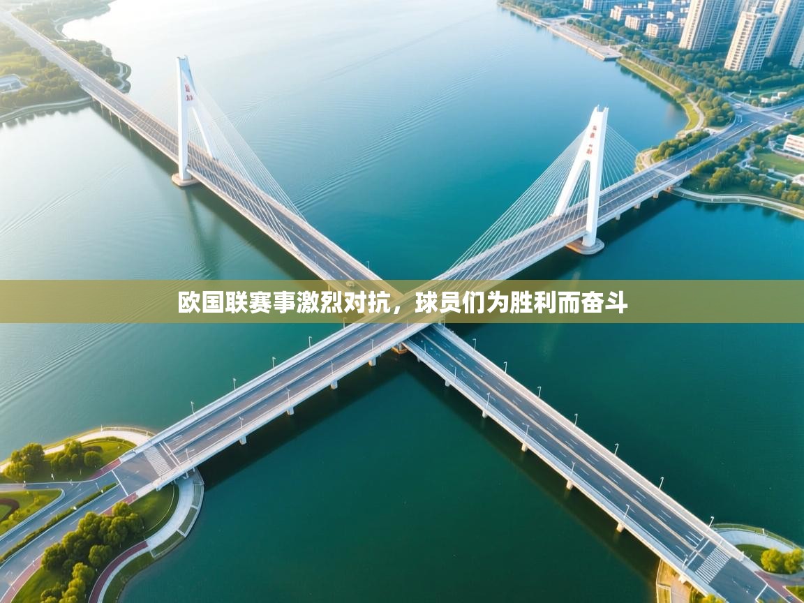 欧国联赛事激烈对抗,球员们为胜利而奋斗 第1张