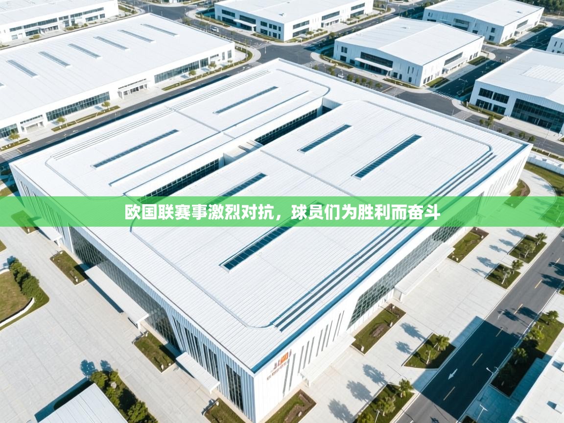 欧国联赛事激烈对抗,球员们为胜利而奋斗 第2张