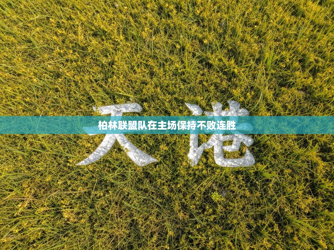 柏林联盟队在主场保持不败连胜  第2张
