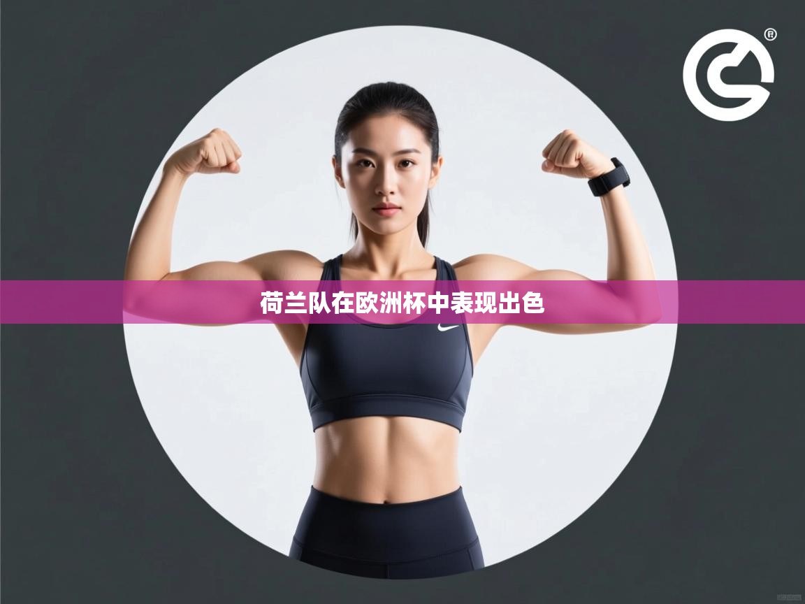 荷兰队在欧洲杯中表现出色 第2张