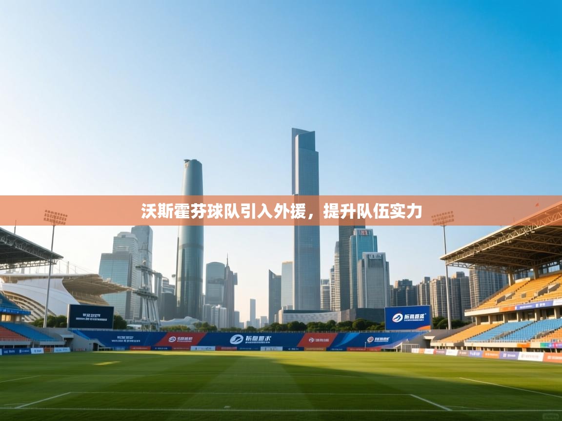 沃斯霍芬球队引入外援，提升队伍实力  第1张