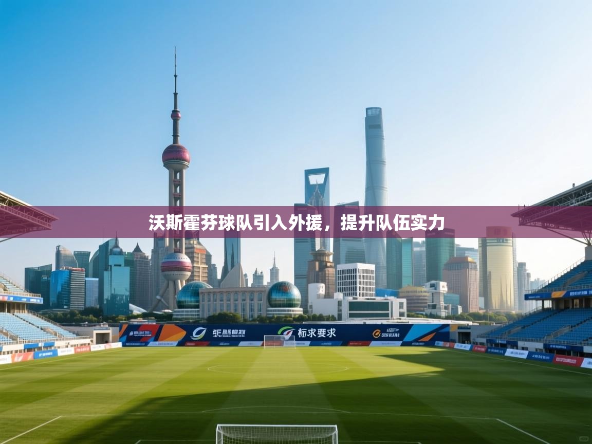 沃斯霍芬球队引入外援，提升队伍实力  第2张